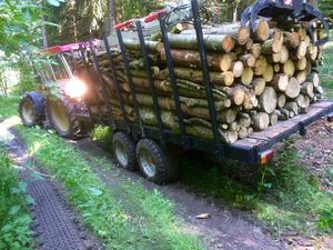 Brennholz 1 m rücken mit Schlüter 1250vl