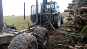 Hackgutholz# kesla#kranwagen# ford traktor 
