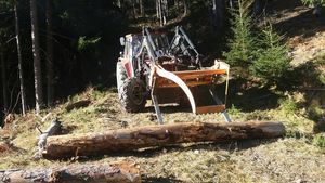 Holz gantern - Wildschönau