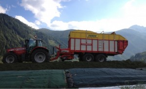 Silage 2012