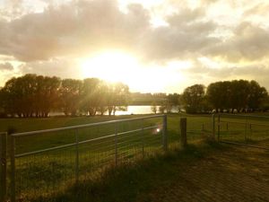 Sonnenuntergang an den Rhein-Wiesen 