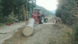 Waldarbeiten mit dem Steyr 8045
