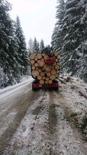 Holztransport 