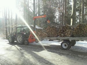 Brennholz Transport 