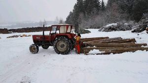 Steyr 650 beim Holzausziehen