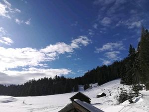 Pitztaler Bergwiesen im Winter