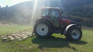 Wieseneggen in Südtirol