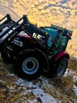 Traktor im Sonnenuntergang 