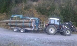 Holztransport 