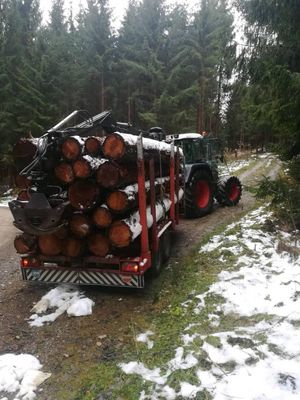 Auch im Winter ist Holztransport ein schöner Sport 
