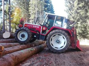 Waldarbeit mit Steyr8070