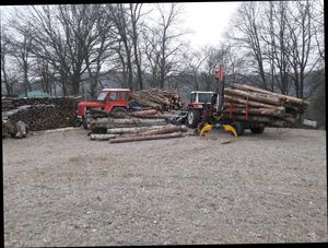 Holzarbeit im Südburgenland