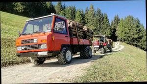 Holztransport in Osttirol