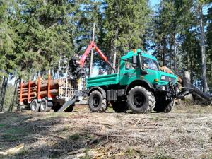 Kurzholztransport mit einem Unimog 2400 und Bijol Kurzholztr