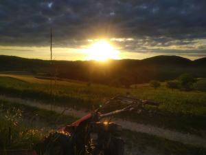 Motormäher beim Sonnenaufgang