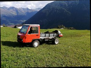 Reform muli 440 im Berggebiet am Arlberg 