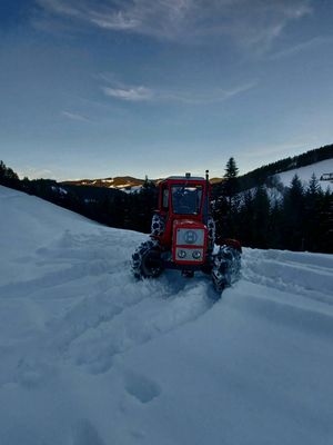 Traktor beim Schnee schieben 
