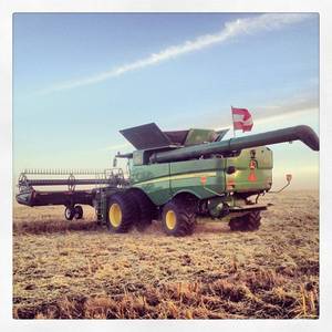 Getreideernte Kanada