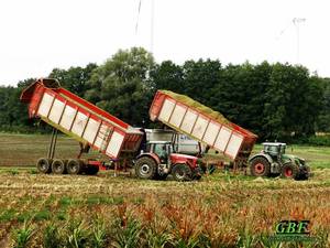Fendt und Massey Ferguson überladen Mais auf einen LKW