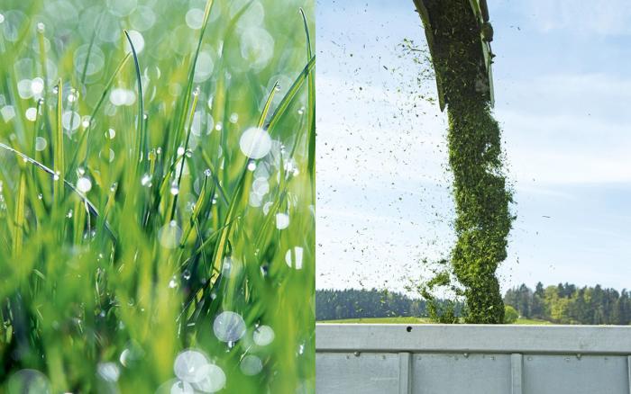 10 Pkg. (á 10 kg) Dauerwiesenmischung GRÜNLANDPROFI EB 3