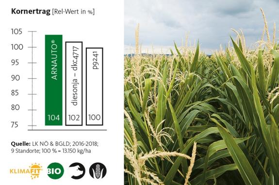 10 Pkg. ARNAUTO® DKC4541 | FAO 380