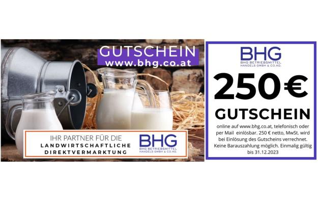 250 EUR Wertgutschein für den BHG Onlineshop