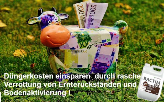 20 Liter BACTIMSoil Rottebeschleuniger (à 5 Liter)