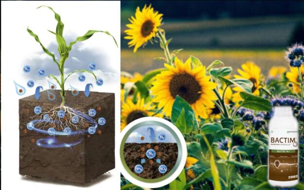 Bakteriendünger-Paket von Boden & Pflanze