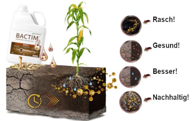 Bakteriendünger-Paket von Boden & Pflanze