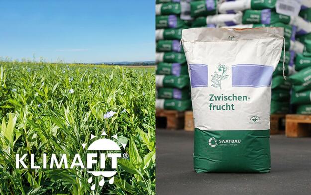 6 Pkg. (á 15 kg) Zwischenfruchtmischung BODENFIT