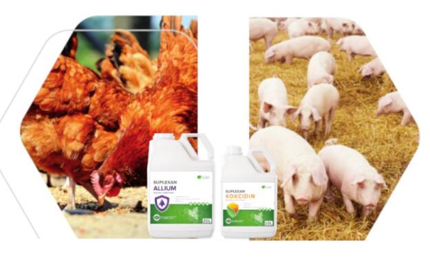 Gesundheitspaket Pflanzenextrakte für Schwein & Geflügel